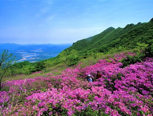 Tempat Wisata Di Korea Selatan Part Ii Eunheeverlasting